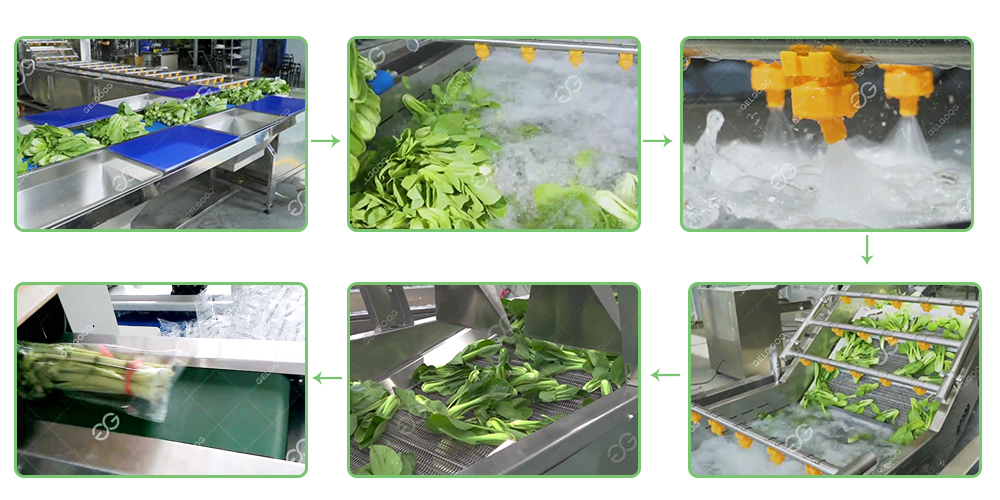 vegetable-washing-line.jpg